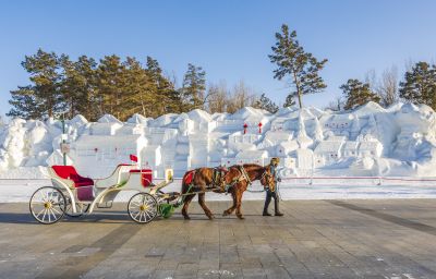 即将闭园的太阳岛雪博会