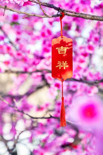 黛秀湖公园的浪漫