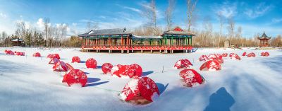 春雪后的中国亭园