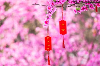 黛秀湖公园三生三世许愿树