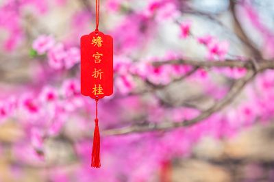 黛秀湖公园三生三世许愿树