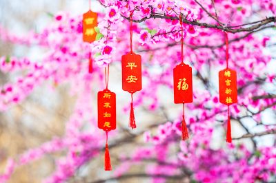 黛秀湖公园三生三世许愿树