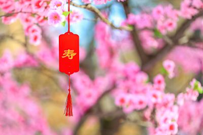 黛秀湖公园三生三世许愿树