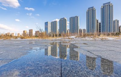 初春外滩湿地