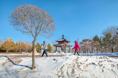 三月的中国亭园1