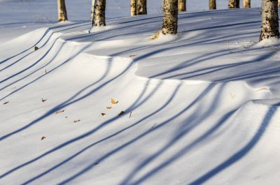 春雪即景