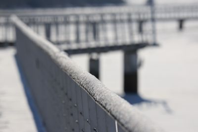 春雪即景