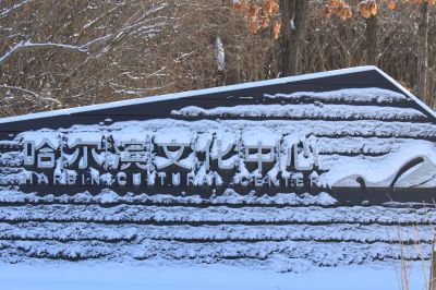 春雪即景