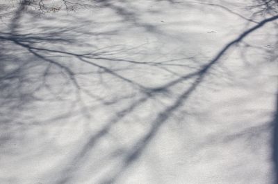 哈尔滨宾县二龙山春景