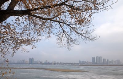 太阳岛初春江畔景色