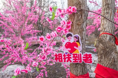 初春黛秀湖公园桃花水