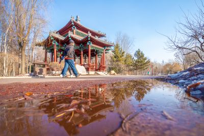 春雪化水润亭园
