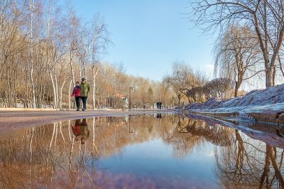 春雪化水润亭园