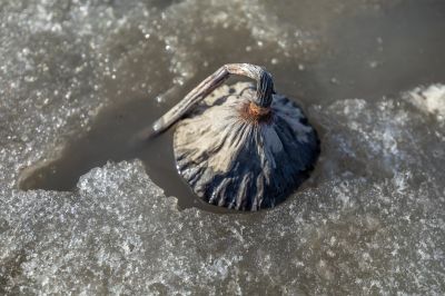 大剧院湿地春暖