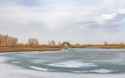 外滩湿地初春景色
