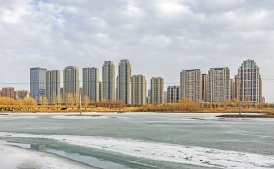 外滩湿地初春景色