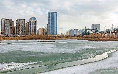 外滩湿地初春景色