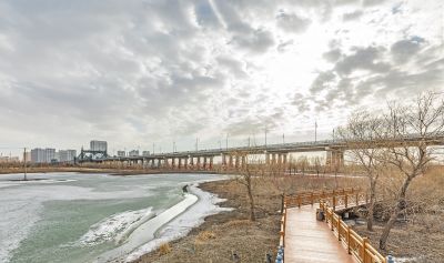 外滩湿地初春景色