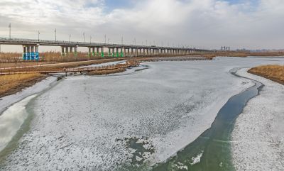 外滩湿地初春景色