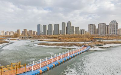 外滩湿地初春景色