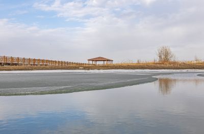 外滩湿地初春景色