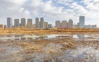 外滩湿地初春景色