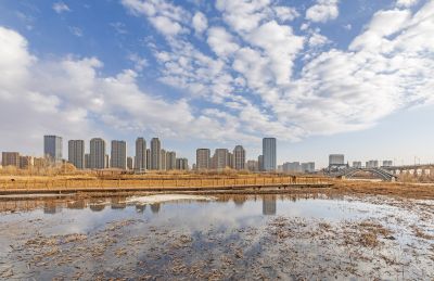 外滩湿地初春景色