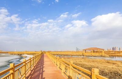 外滩湿地初春景色