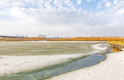 外滩湿地初春景色
