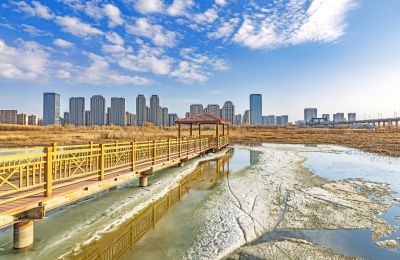 外滩湿地初春景色