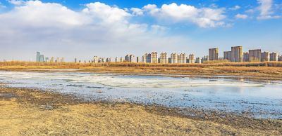 外滩湿地初春景色