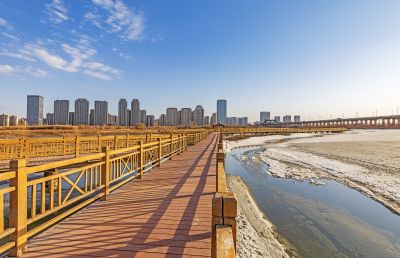 外滩湿地初春景色