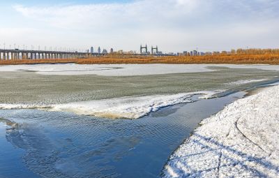 外滩湿地初春景色