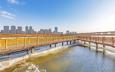 外滩湿地初春景色