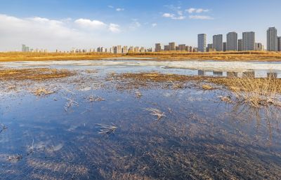 外滩湿地初春景色