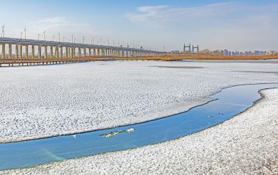 外滩湿地初春景色