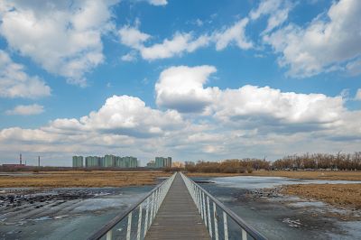 江畔初春风景