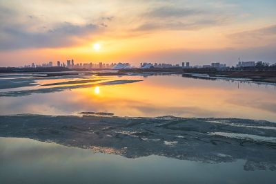 江畔初春风景