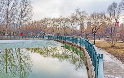 新区中心公园