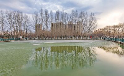 新区中心公园