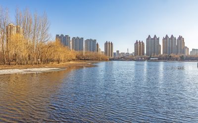初春的体育公园