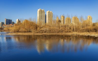 初春的体育公园