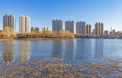 初春的体育公园