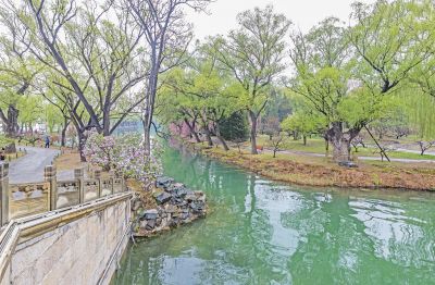 春到颐和园
