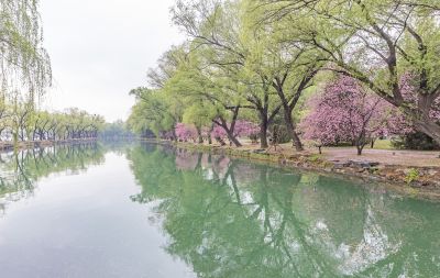 春到颐和园
