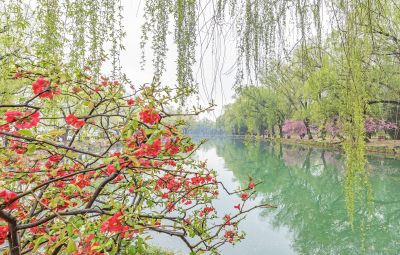春到颐和园