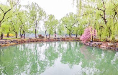 春到颐和园