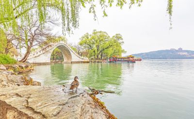 春到颐和园