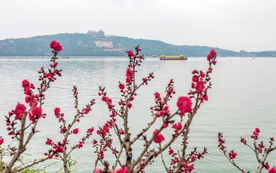 春到颐和园