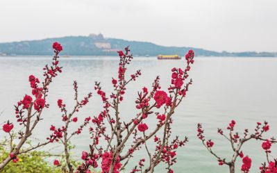 春到颐和园